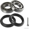 HERTH+BUSS JAKOPARTS J4707002 Wheel Bearing Kit